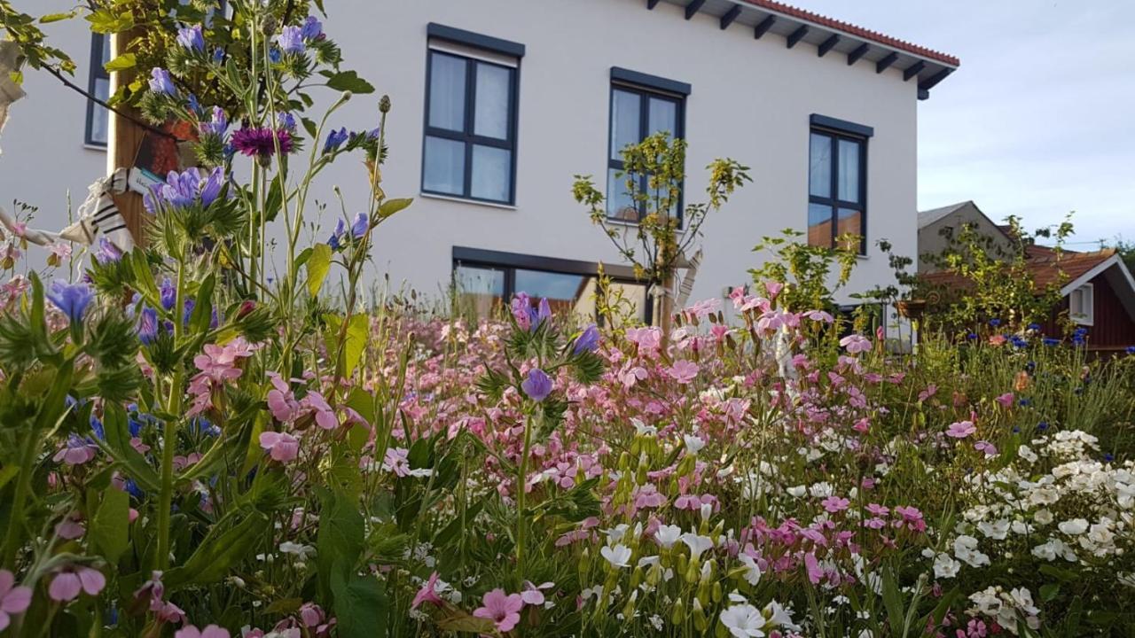 באד אוראך Gaestehaus 26/2 מראה חיצוני תמונה